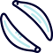 Whole Cumin Seed Icon